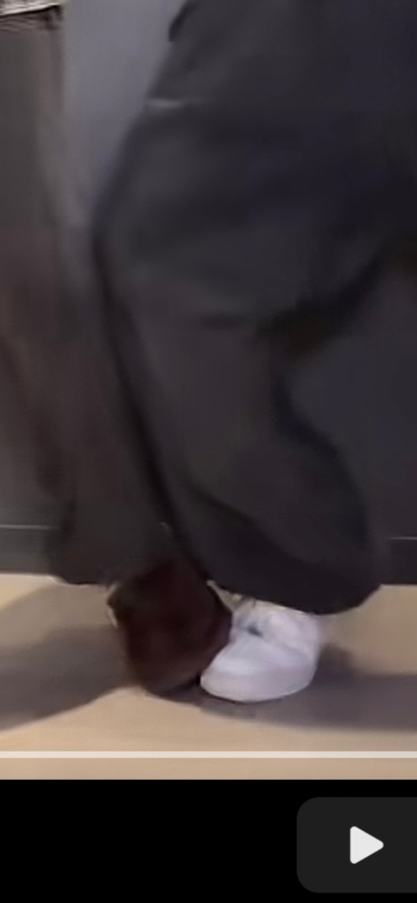 【🪑】ses你完了你妹妹要在晚上对你小发雷霆了 