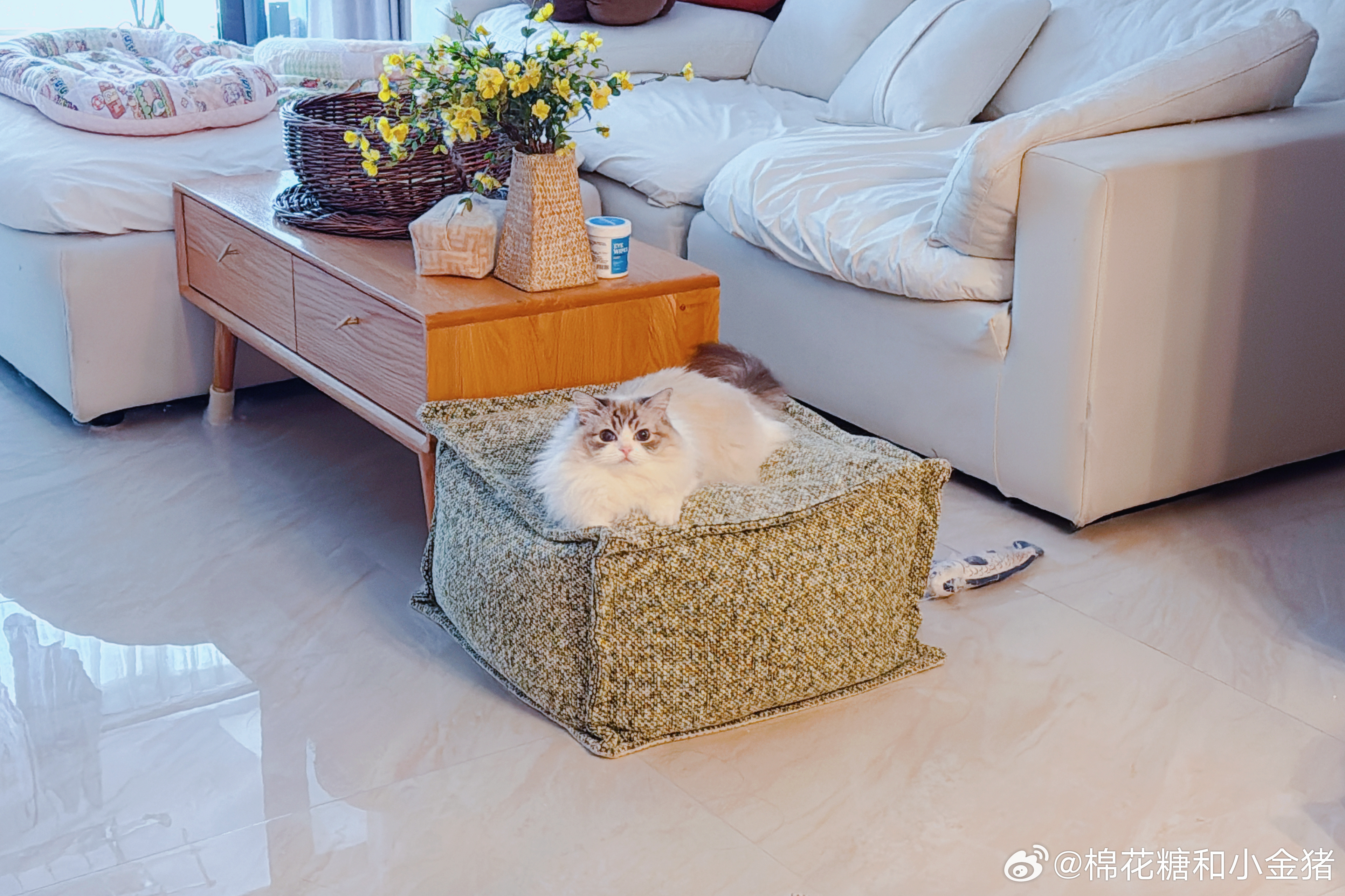全家都去睡午觉了，剩了一坨年糕给我。 