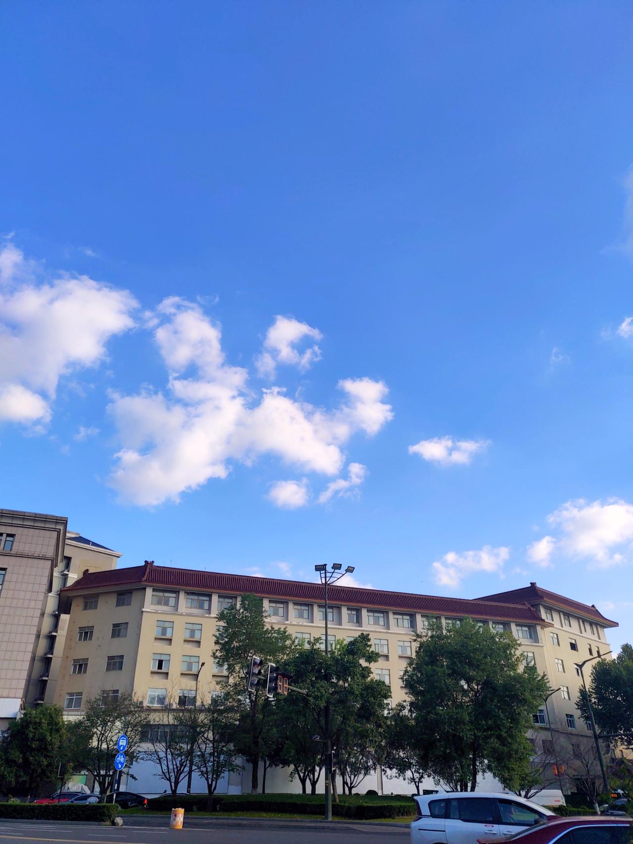 阴雨了半个月，昨天南京终于天晴了，抬头望天，天空美如画布，草和树叶也被连绵的风雨