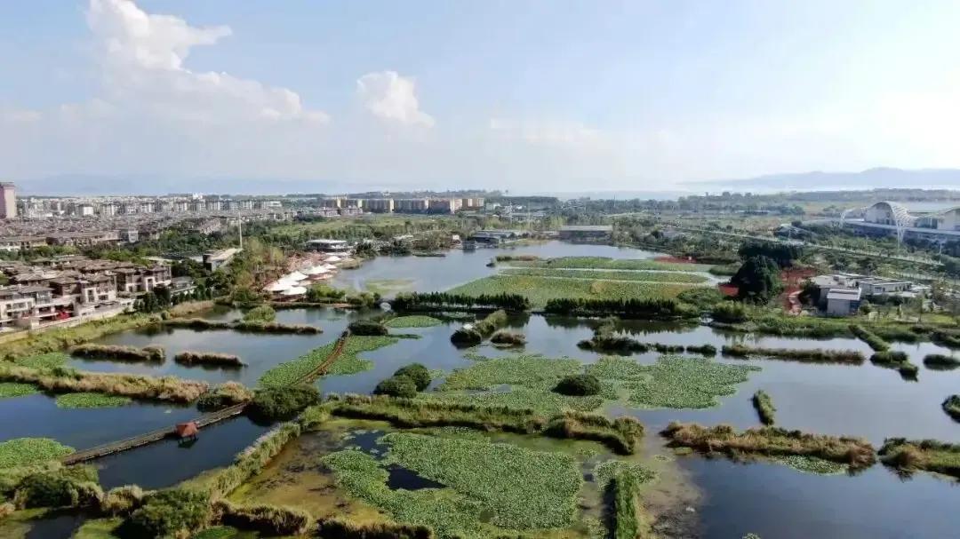 期待10月份开放的五甲塘湿地公园，有1300余亩，城市绿肺湿地公园。位于昆明南市