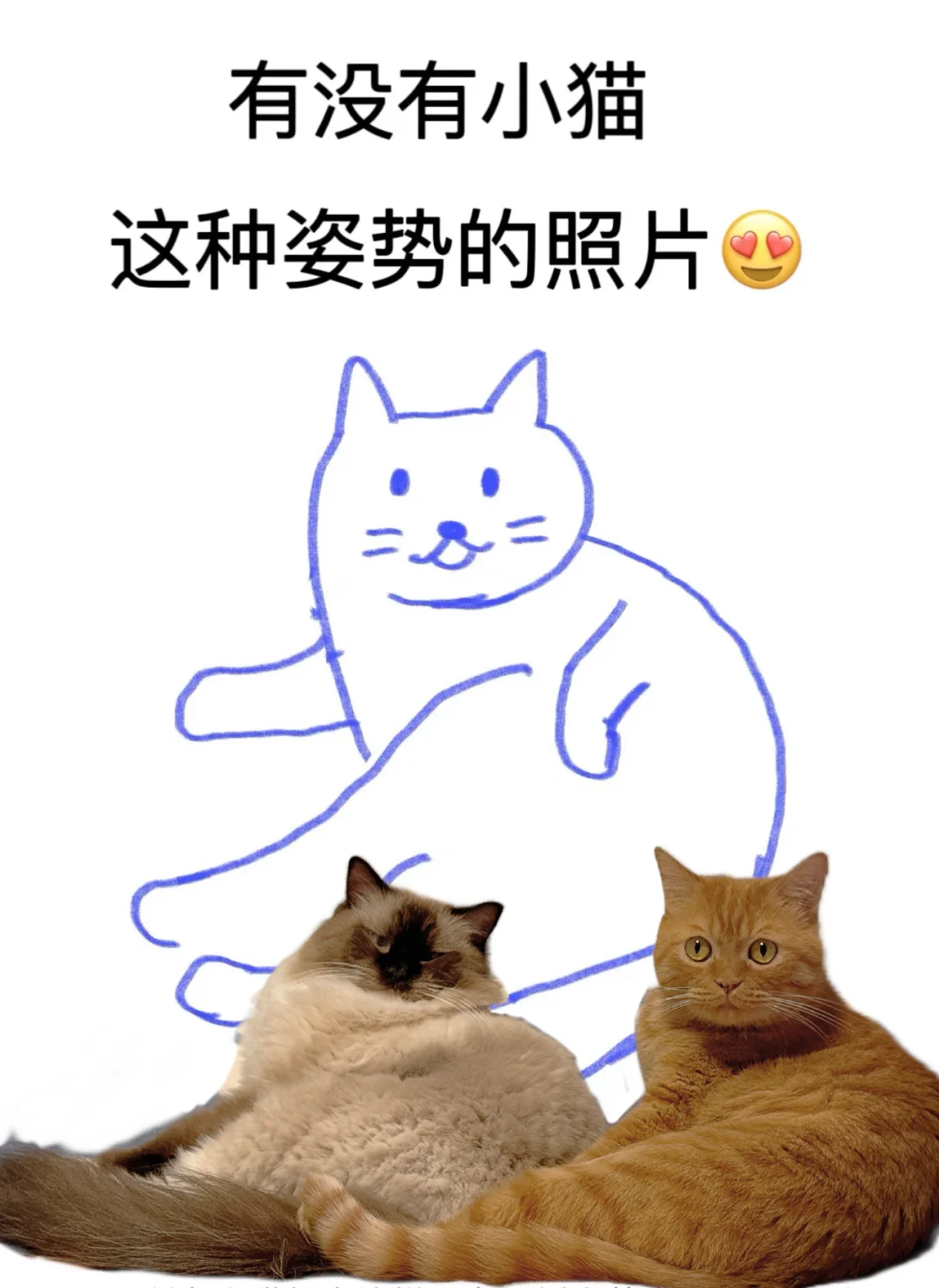 请求出战！