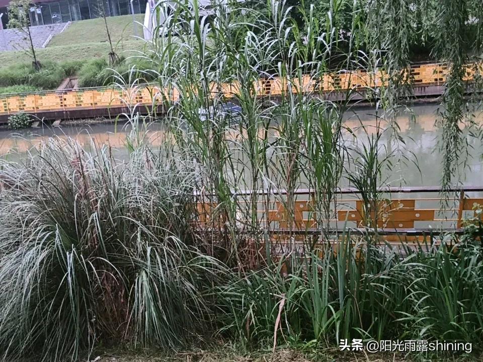 你觉得饮料和水哪个更解渴水更解渴