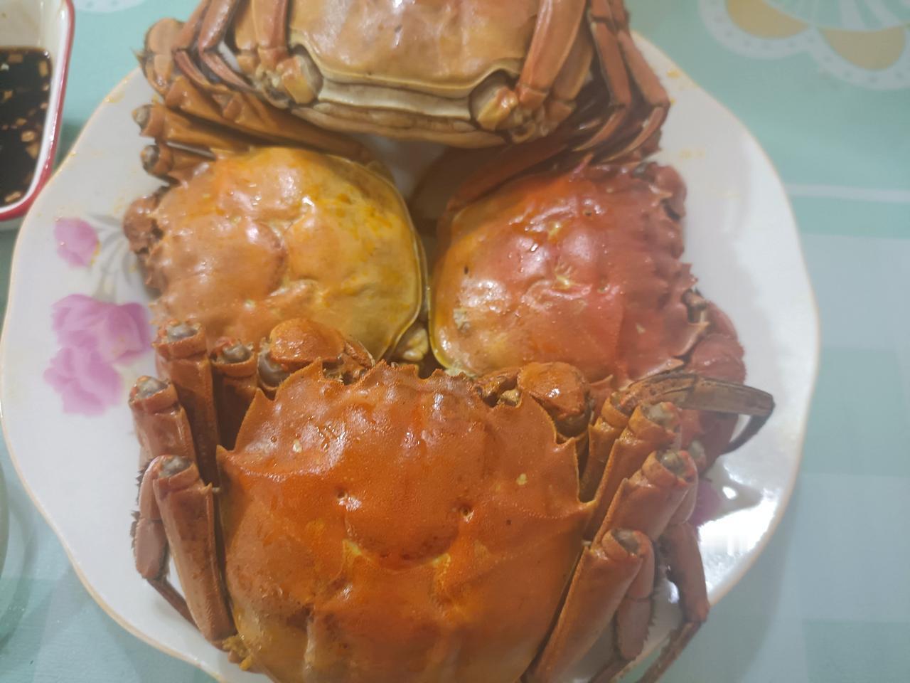 今天上午九点左右我儿媳妇给我送来四个大闸蟹，开车来的，我去楼下接的，回来后我就准