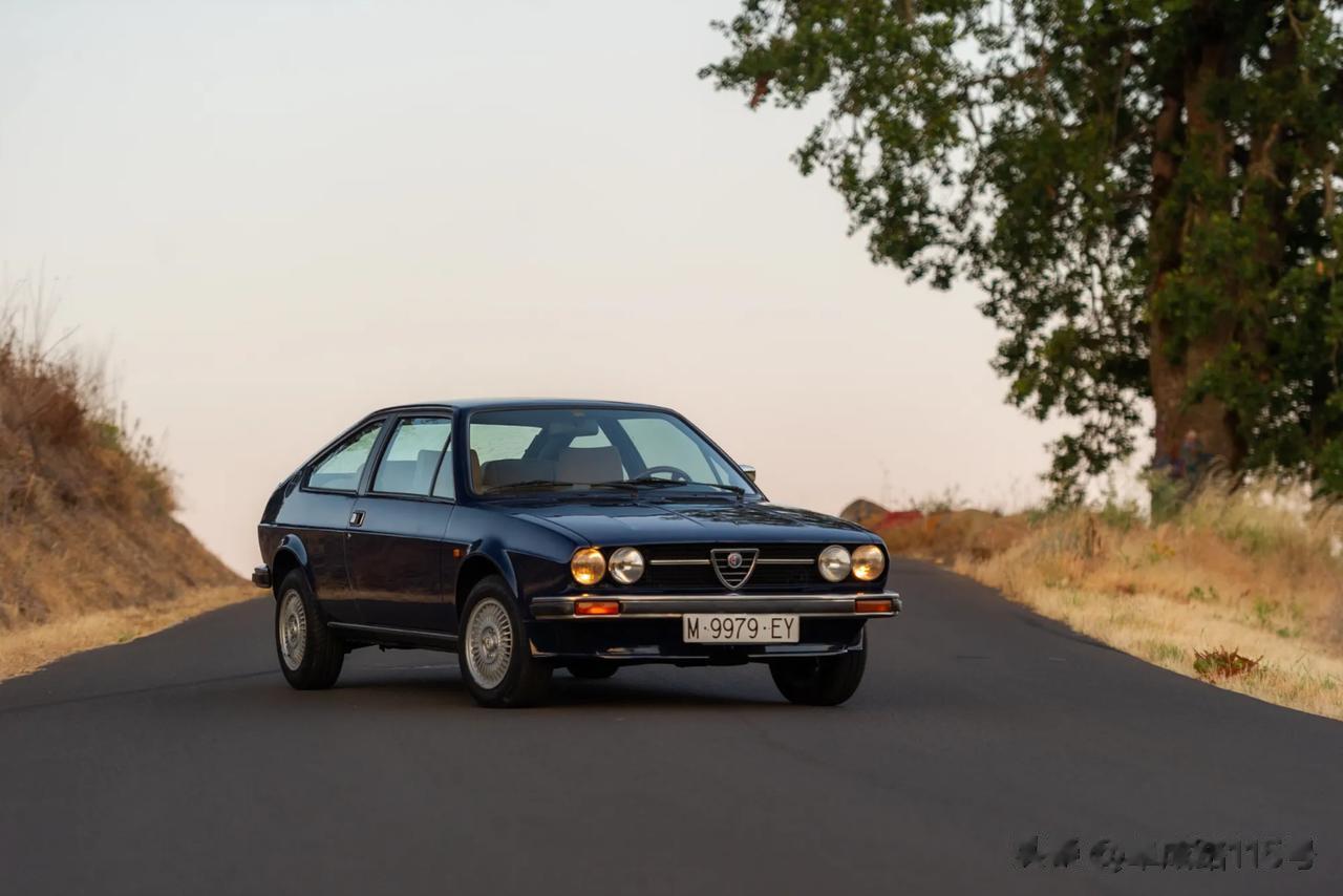1981年阿尔法·罗密欧 Alfa Romeo Alfasud Sprint V
