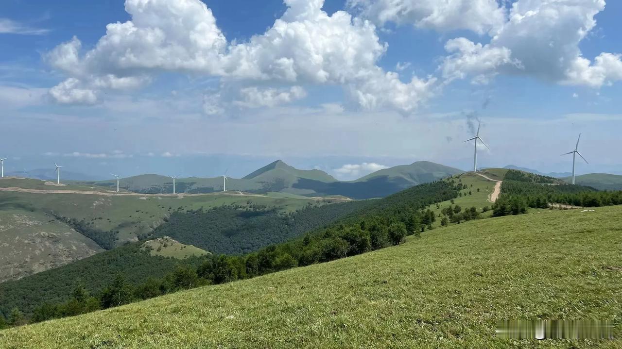 了了晴山见，纷纷宿雾空。
茫然何所顾？俱在红尘中。