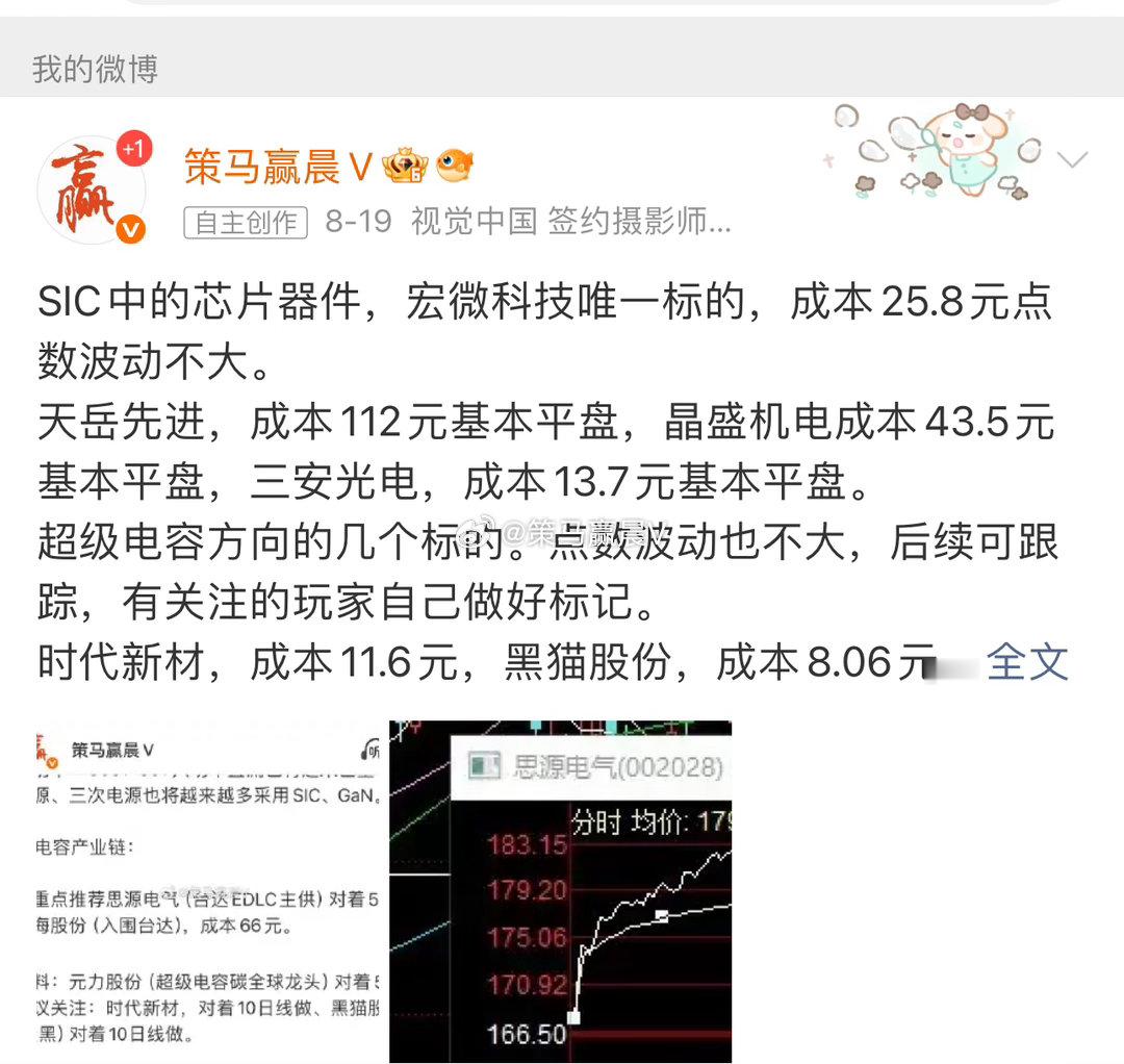 SIC中的芯片分支中的三个标的。 宏微科技，三安光电，晶盛机电以及天岳先进，目前
