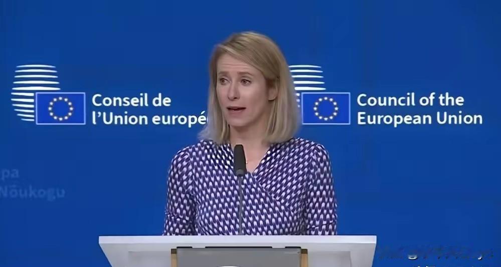 ​欧盟外交与安全政策高级代表卡娅·卡拉斯最新表态，“继美国决定放宽对俄罗斯石油的