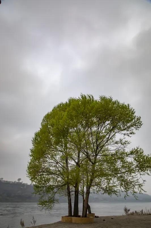 对上：柳条绿水花色艳，
出下：㭎叶青溪果熟香。