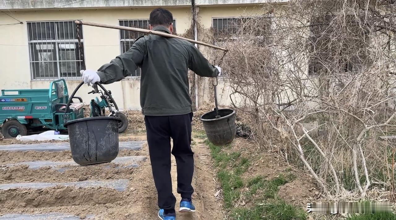 大家有没有想过，我们平时吃的食物，其实和地球的健康紧紧绑在一起？
常规农业大量用