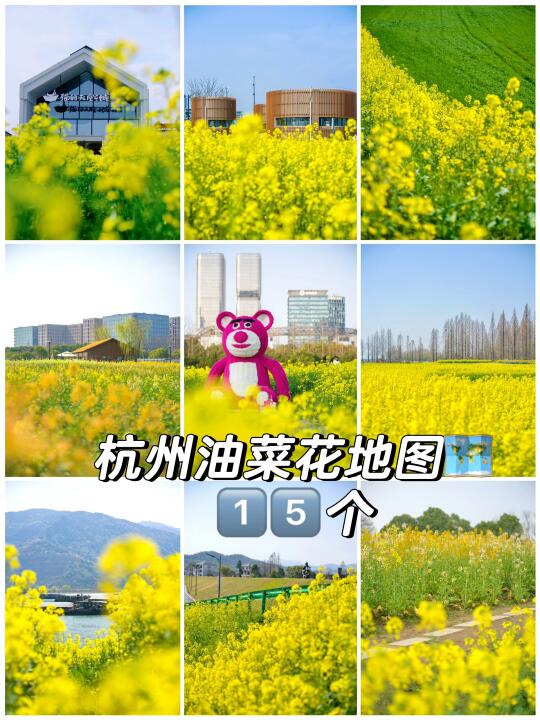 杭州15个油菜花打卡点❗️❗️周末去玩儿～