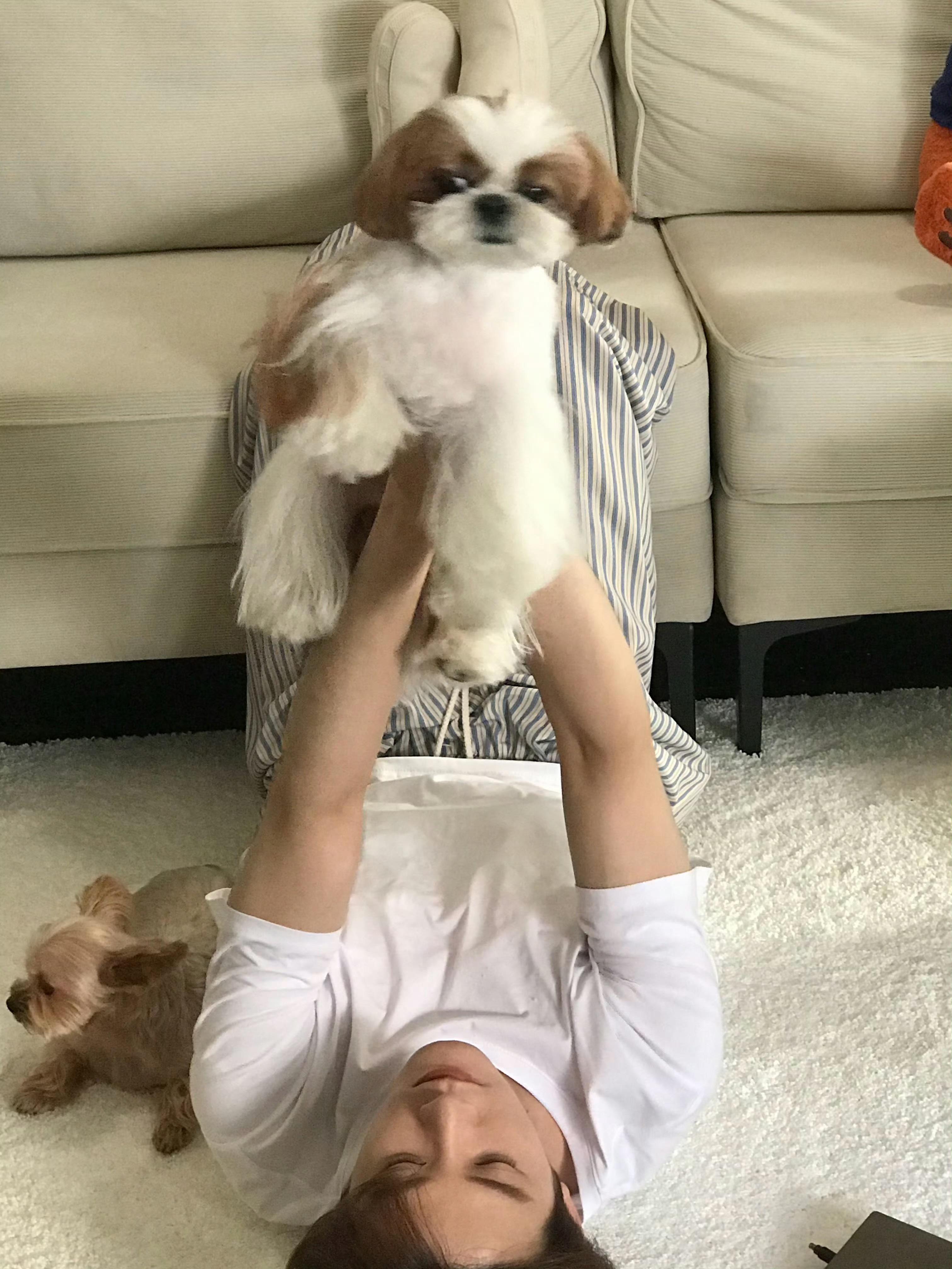 三公主拍的好治愈幸福的檀小呆和檀力球～檀健次第三张音乐专辑