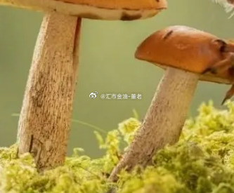 每日一善 新的一天，坚持每日一善。善意从不用刻意轰轰烈烈，路上礼让他人、包容身边