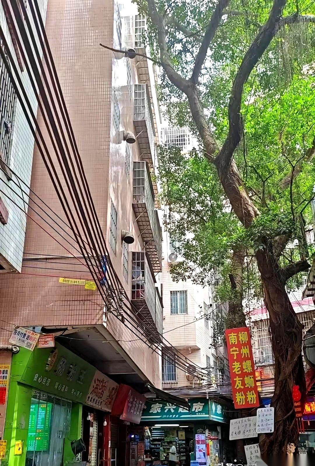 我算是想明白了，在深圳租房，最大的坑，就是别人跟你说“白石洲性价比高”。
听我一