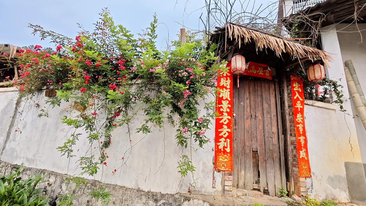 离开几天回来。墙头的花铺天盖地成串盛开，小院又添美景！这就是田园生活的意义所在！