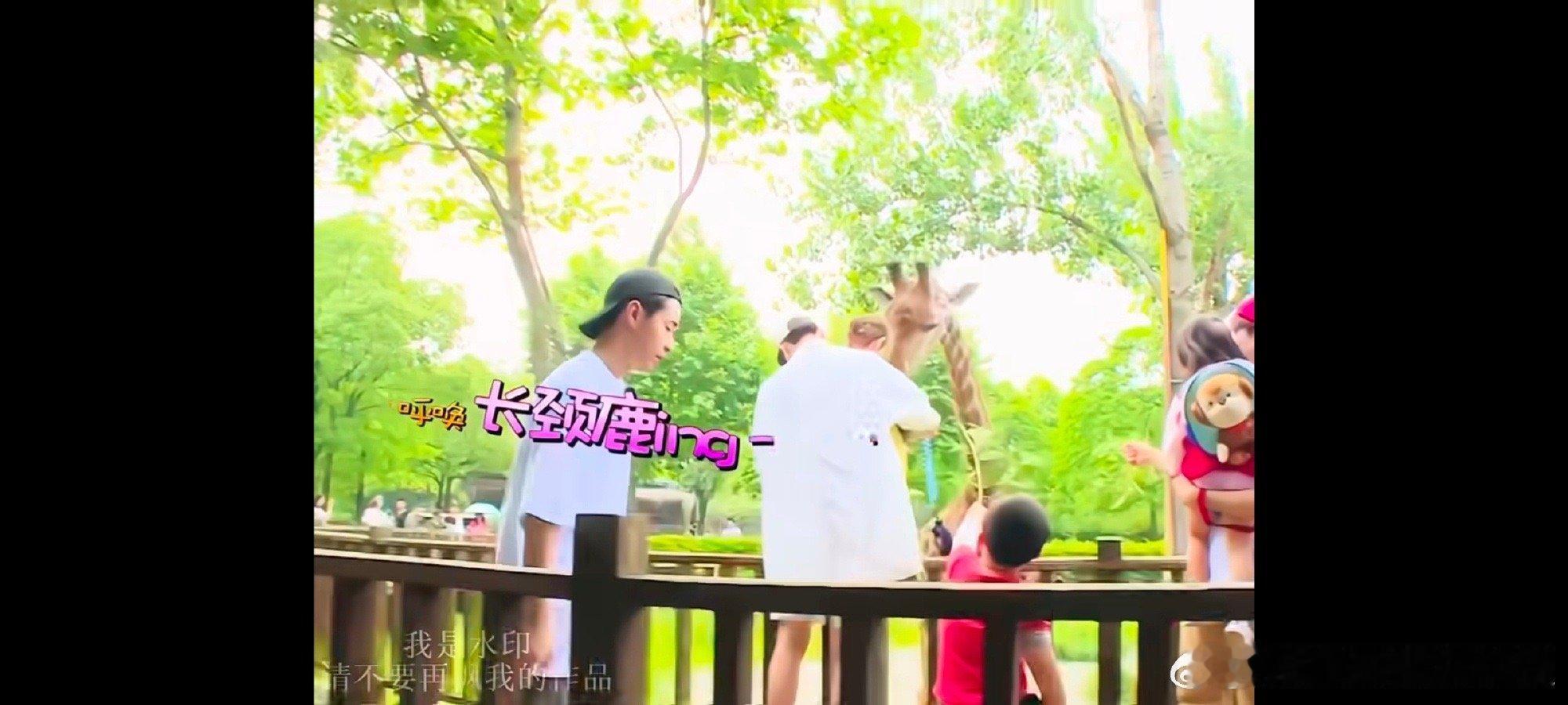 Henry有趣的灵魂万里挑一 他就像身边那种特别有梗的朋友，随时随地都能带来欢乐