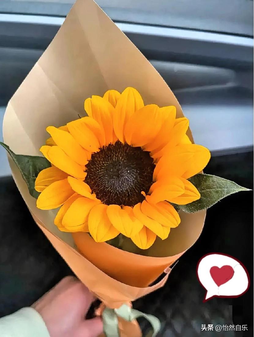 这两天刷到一个退休阿姨的视频，却戳中太多人了，就因为一句话。

阿姨对着镜头一句