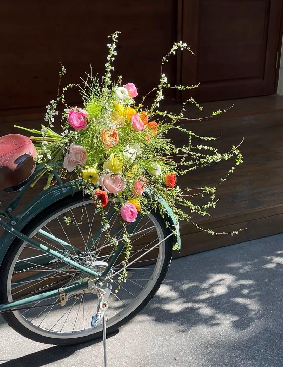 日子慢慢过，心事轻轻放，不追不赶，不慌不忙。 ​​​