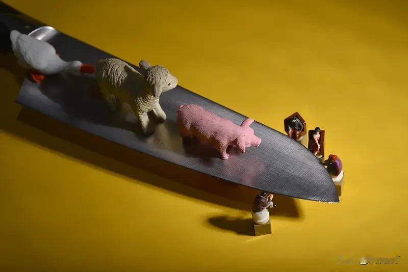 实探“抢猪肉”风波中的株洲小村 实探“抢猪肉”风波中的株洲小村
最近，株洲新市村