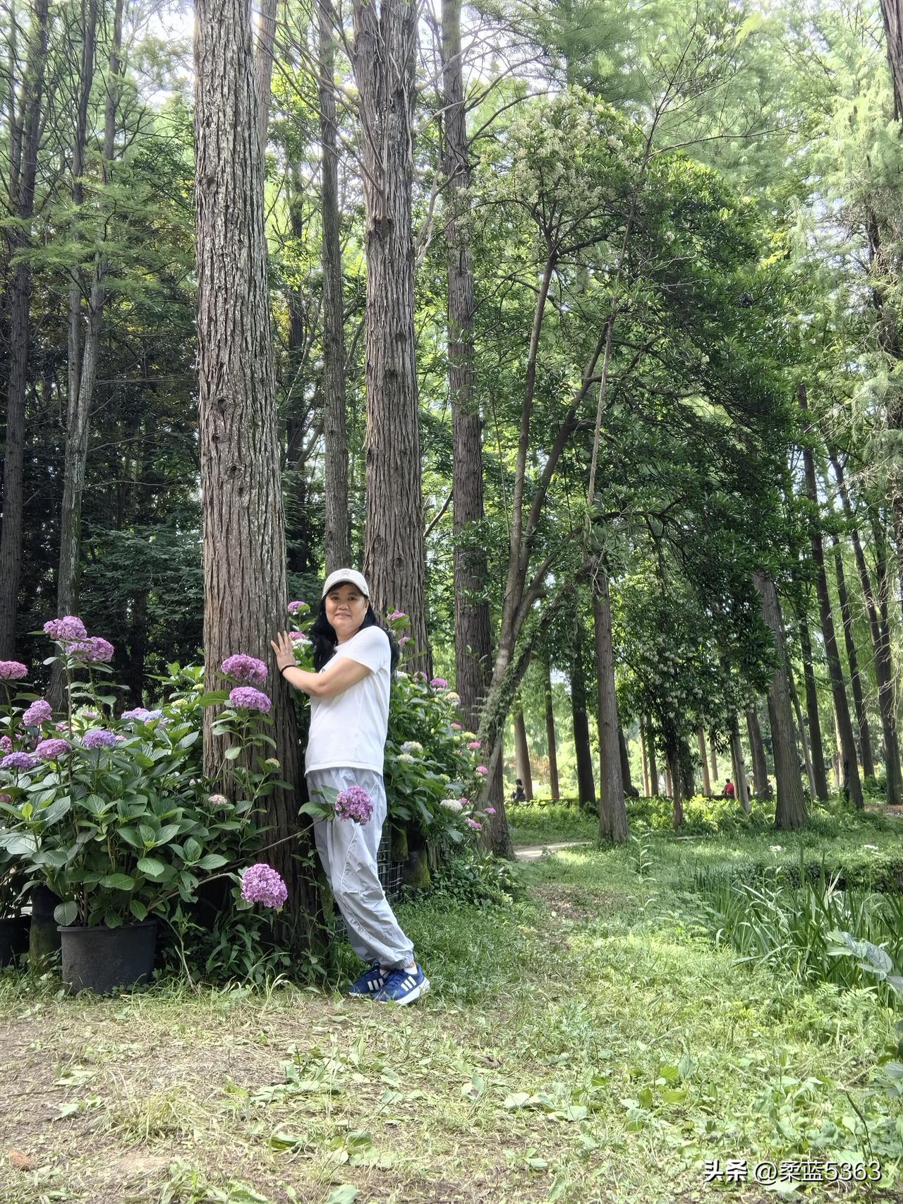 我真心喜欢自己60岁的状态。

很平静。

不需要刻意关注外貌了，就静静让白发发