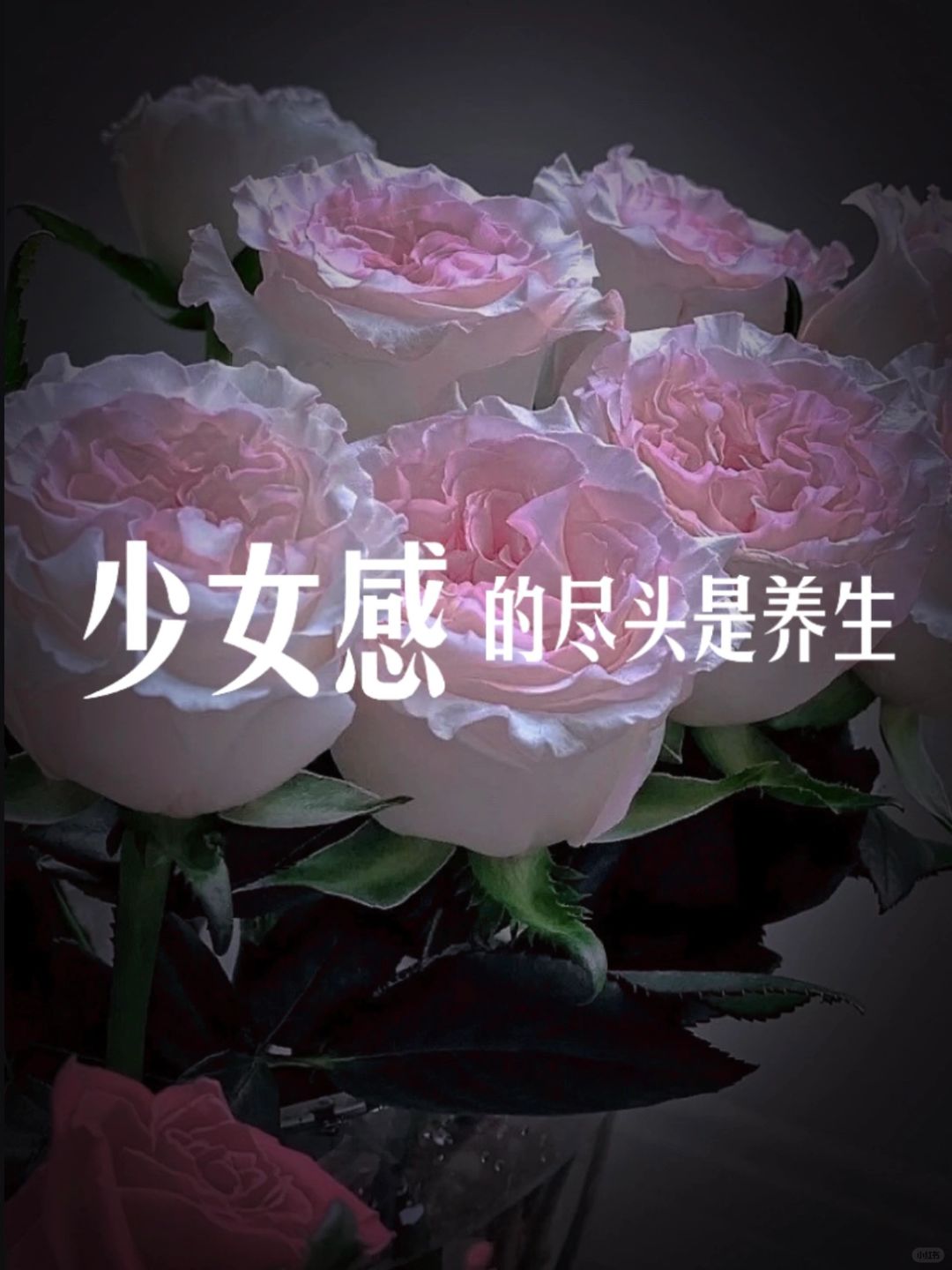 中医老师说：想要保持少女感，内调保养要趁早