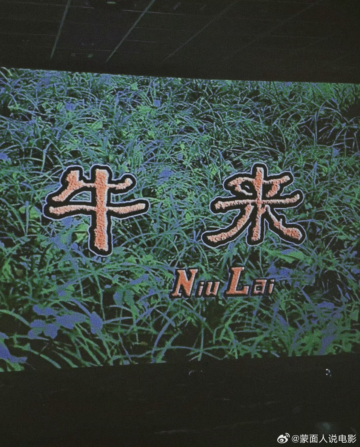 牛来是为拿百万补贴吗动画电影《牛来》爆火之后，“冲着百万补贴拍电影”的争议登上热