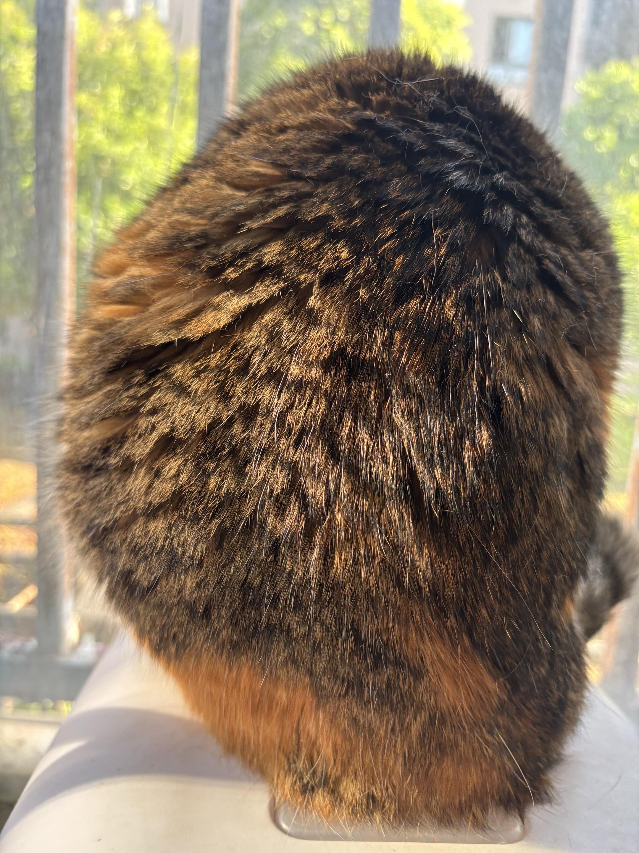 毛毛球 绒绒 猫咪 算了跟你说不清楚