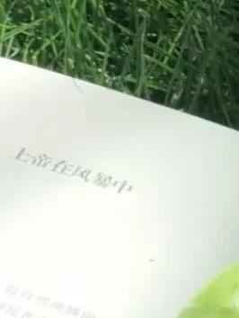 每日一善 心存善念,阳光就会照耀你;心存美丽,温暖就会围绕你;心存大爱,崇高就会