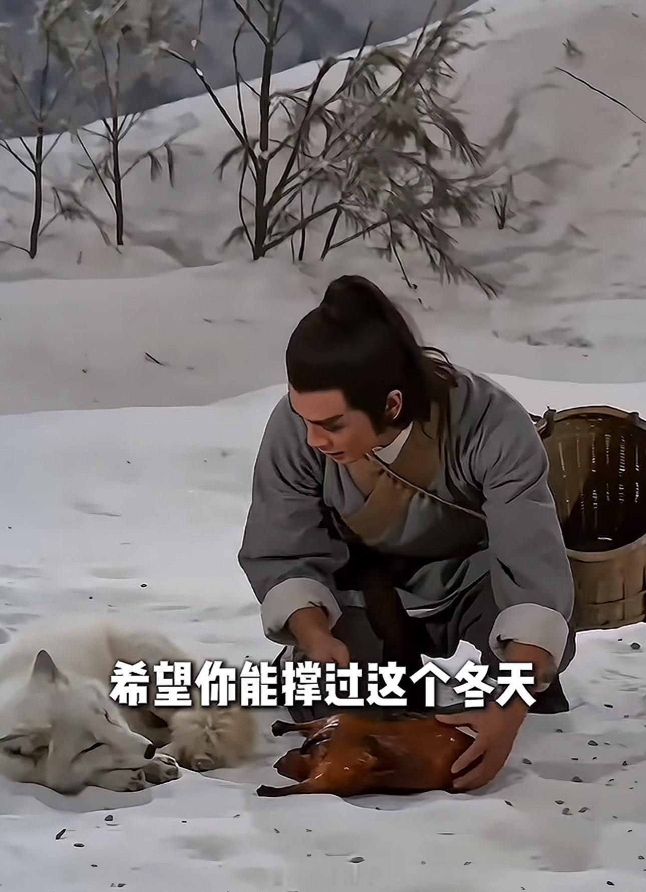 李佳琦去雪山救了什么雪山救狐狸这个设定本身就够离谱，偏偏还演得一本正经。这种反差