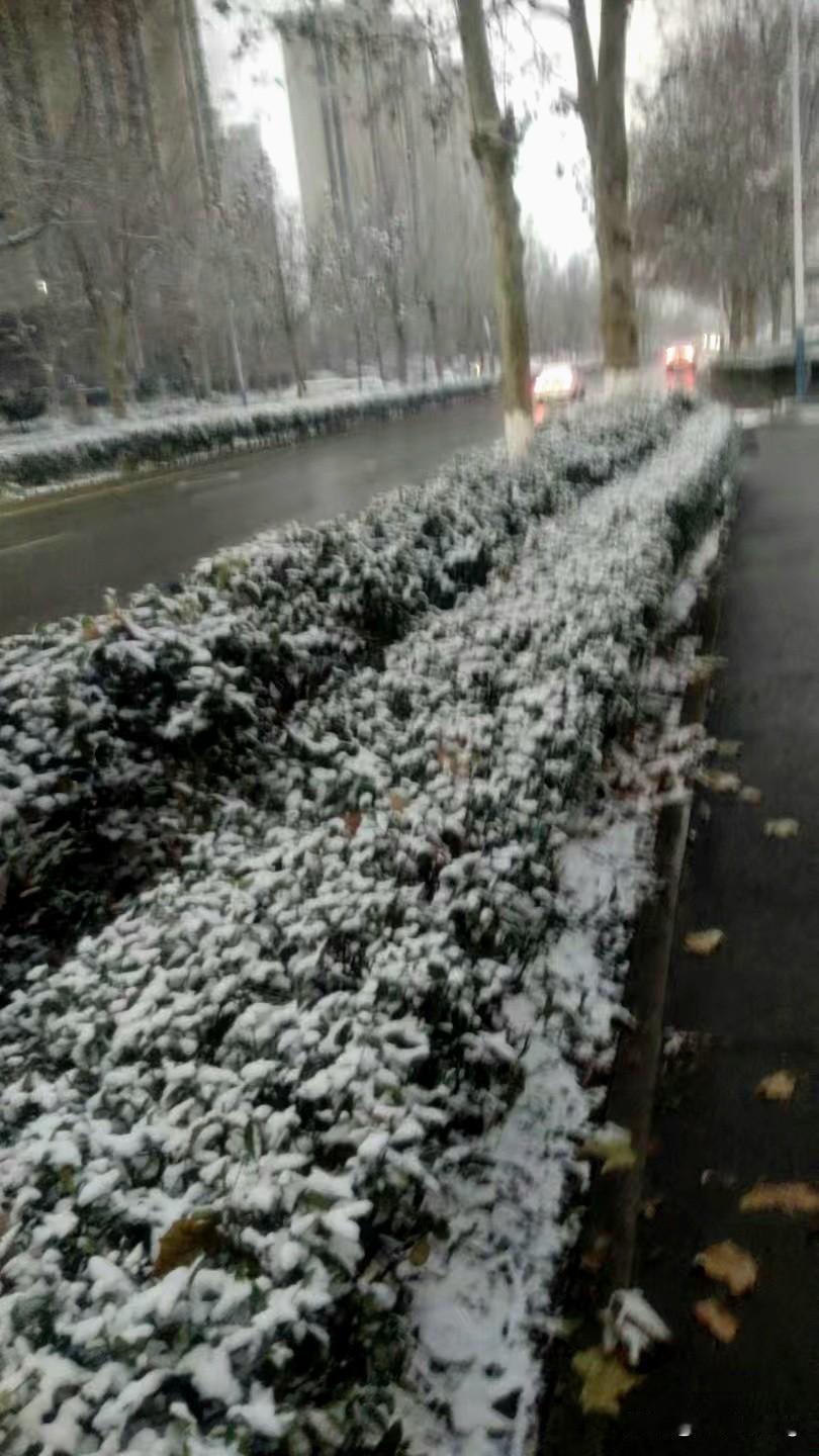 这次北方的大面积降温，顺手带动了南方的温度也跟着降。今天早上我们这里降到了12度