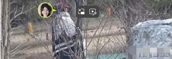 近日，向百合带着孩子现身公园，和另一孩子游玩，本是亲子时光，却因一举动惨遭吐槽，