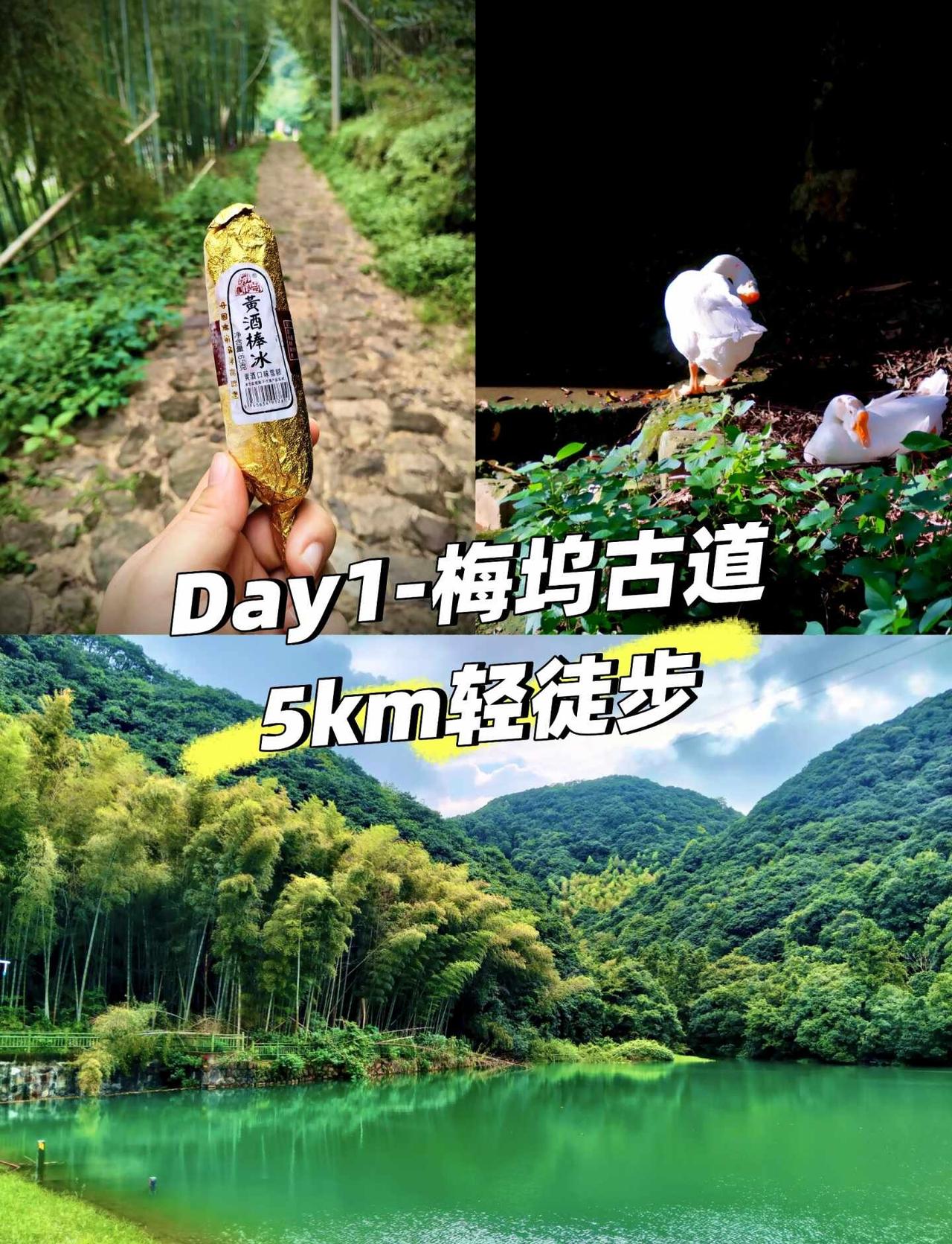周末出逃 Day1｜梅坞古道徒步
『只要走的够快，蚊子就追不上我🏃‍♀️』
	
