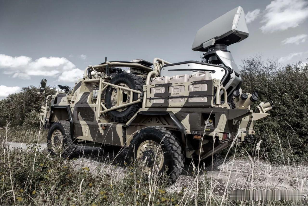 🇸🇪 瑞典采用“长颈鹿”雷达和LSS Lv指挥控制系统加强地面部队防空能力