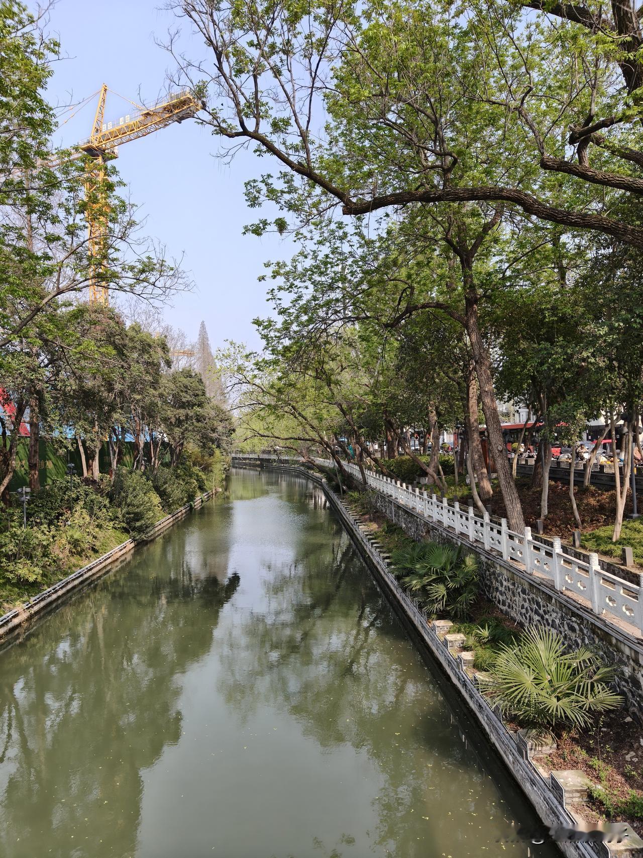 扬州真是处处有美景。
不用去个园，不用去瘦西湖，随便走在路上，都是摄影师想要抓拍
