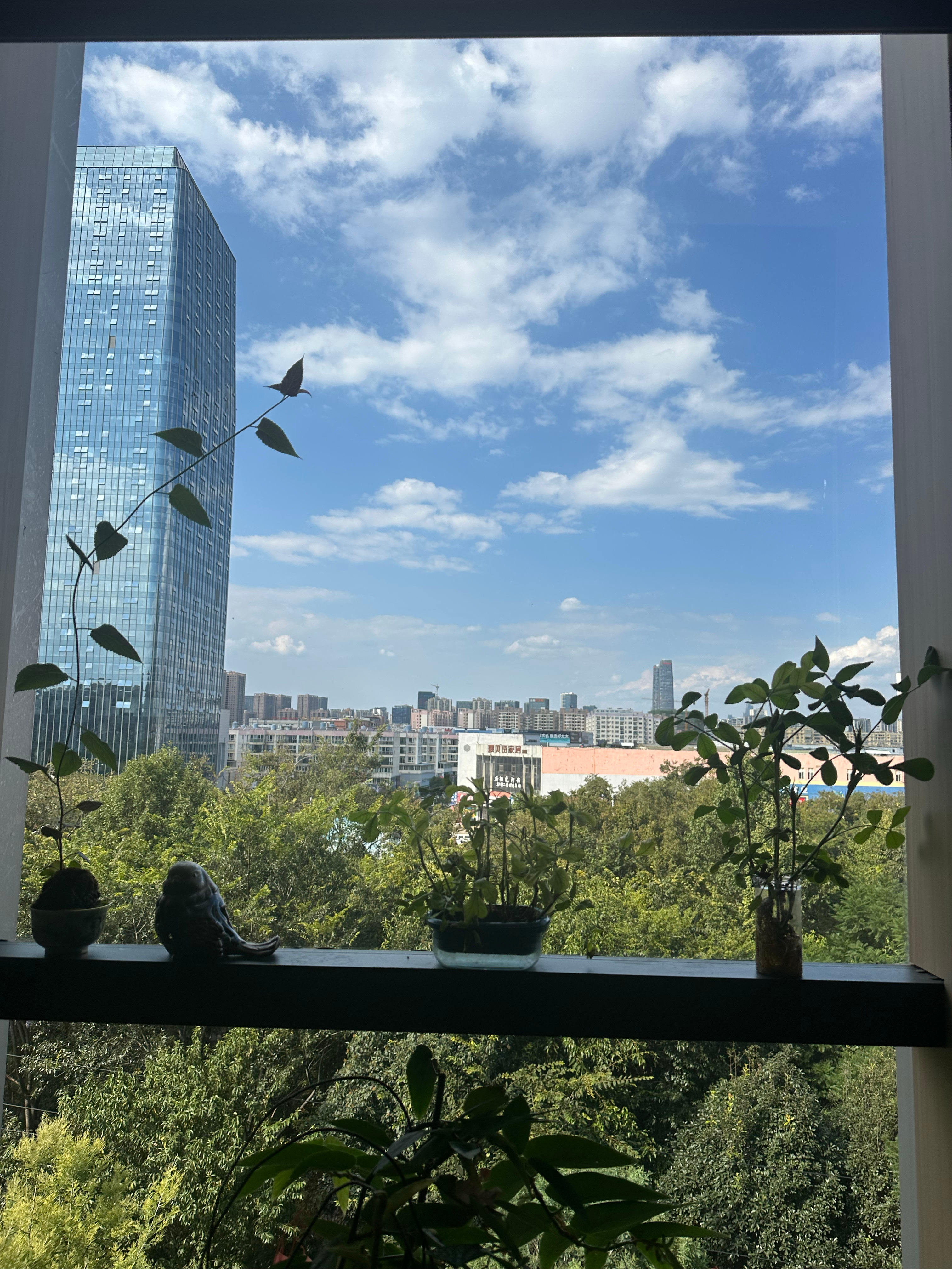 感情里最折磨人的，不是不爱，是纠结、拉扯、舍不得、看不清未来。很多姻缘困惑，本质