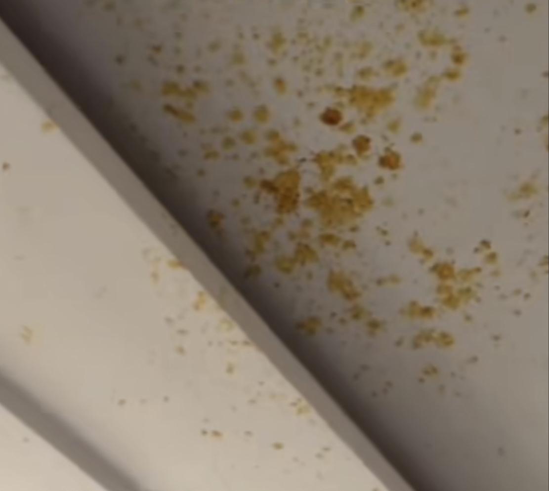 女子把未开封杨枝甘露放桌子上，
没想到8天后瓶子竟然自行爆炸，
屋内一片狼藉，女