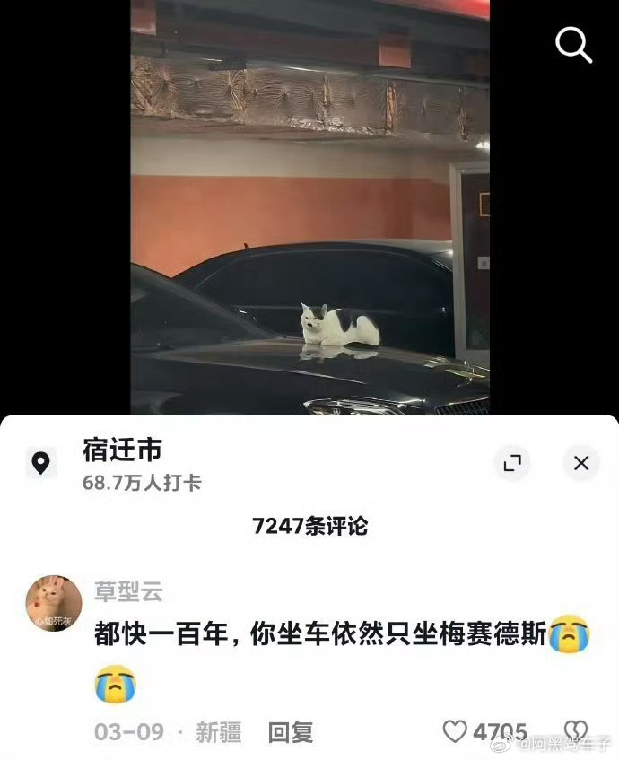 我的右手突然就不受控制地抬了起来 
