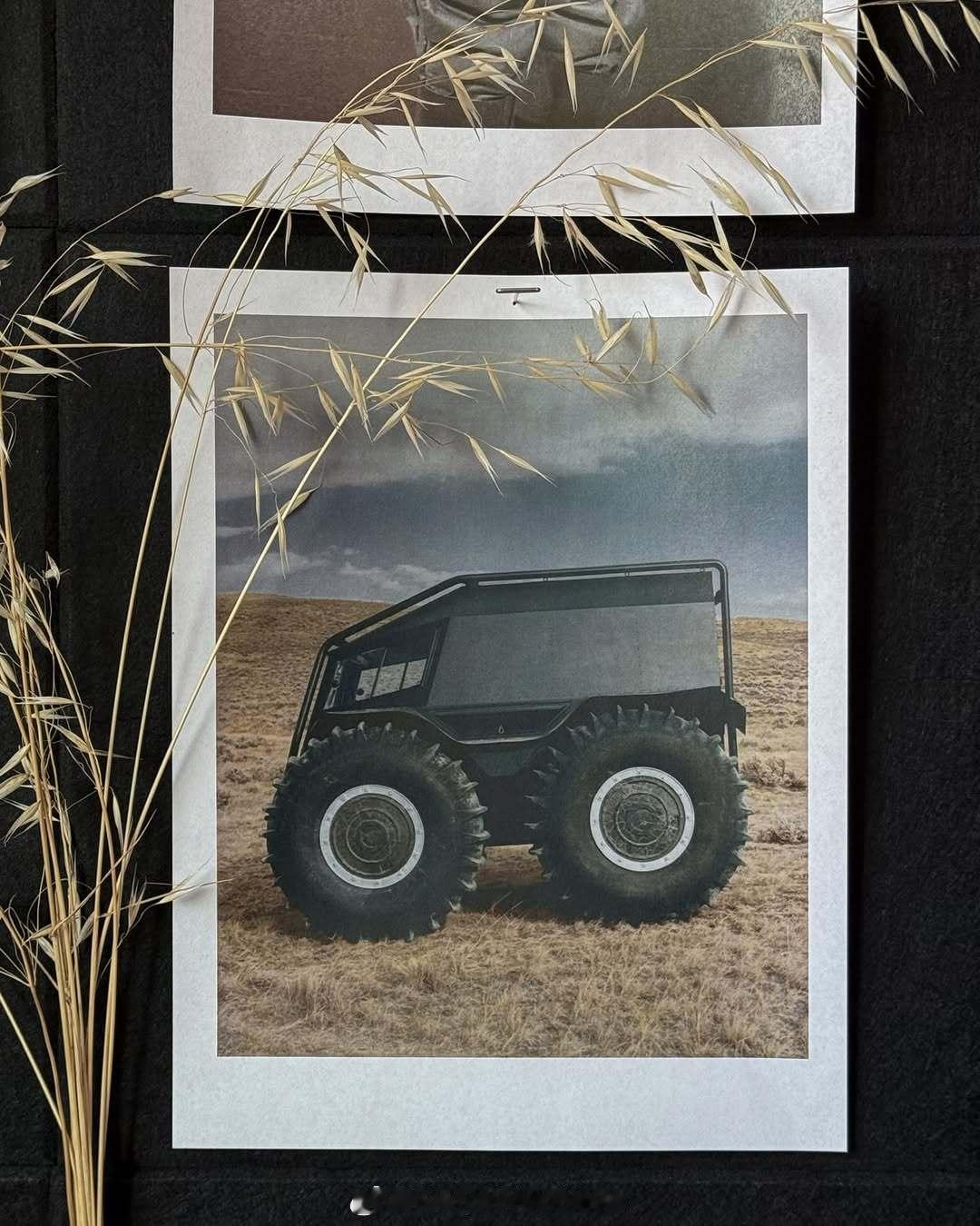 Yeezy Cody Wyoming Reference Board 