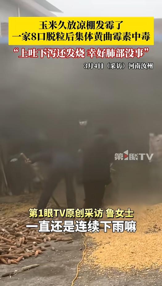 “悲剧还是发生了！”近日，河南汝州，一家8口在给玉米脱完粒后竟集体中毒进了医院。