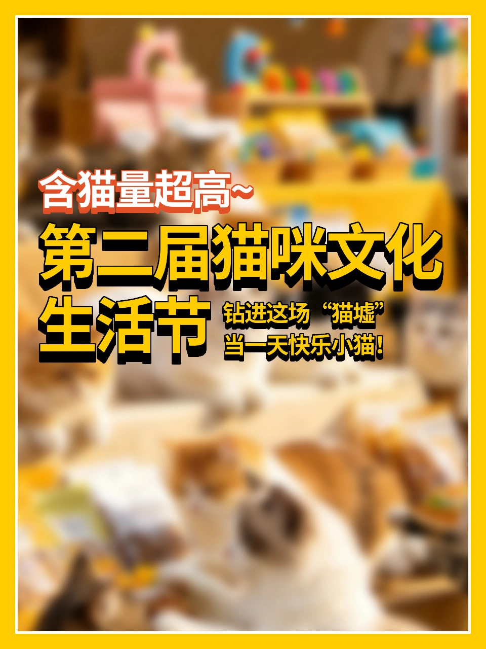 含猫量超高🐱猫咪文化生活节>附活动阵容