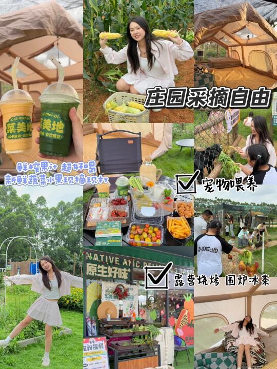 东莞这家庄园✔️好玩的东西也太多了吧‼️