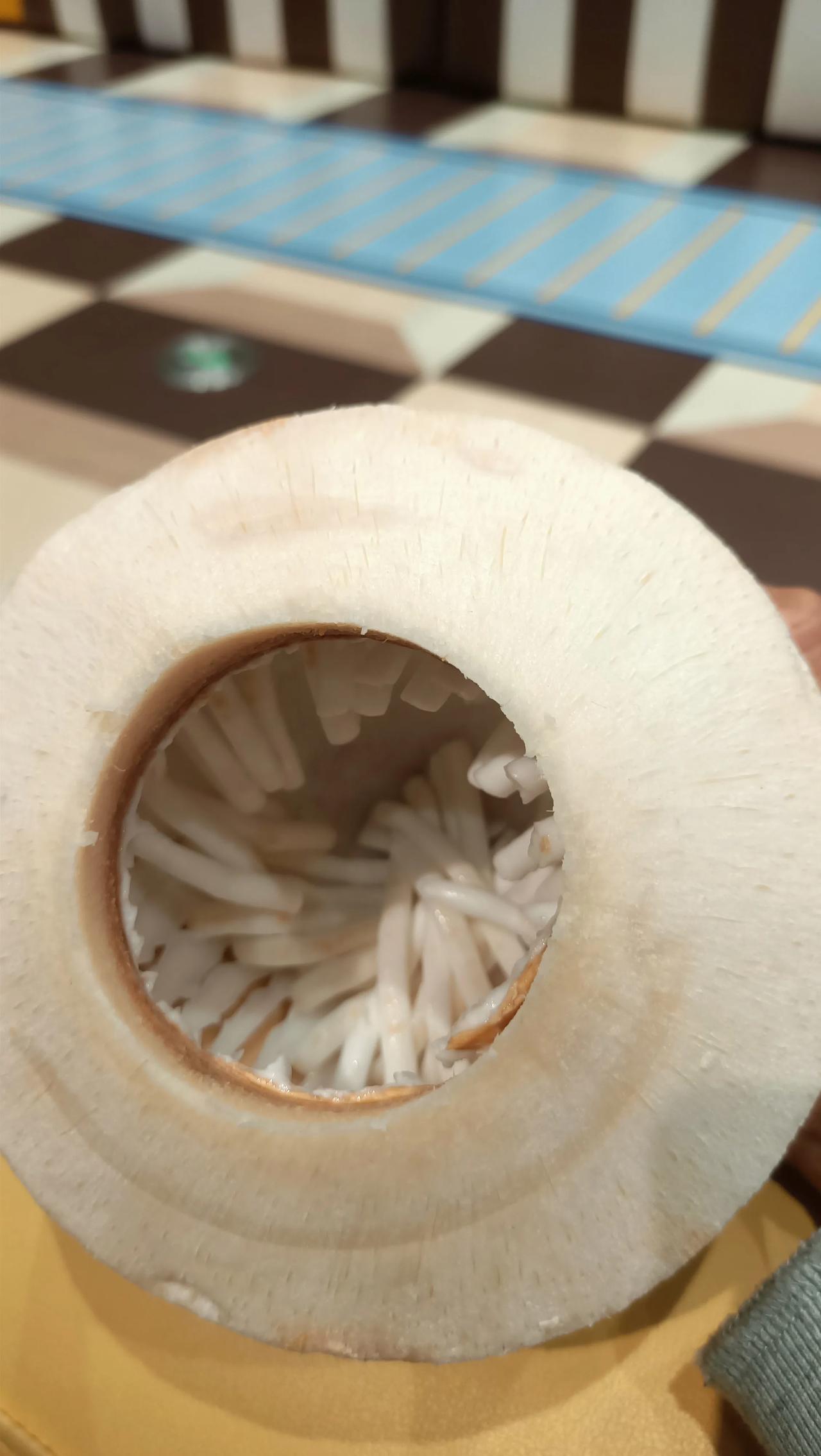 创意椰子肉新吃法
