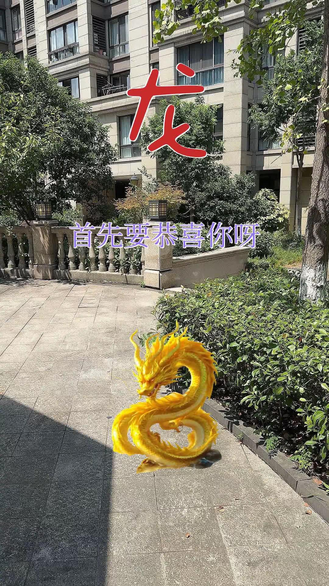76年的龙 88年的龙 00年属龙