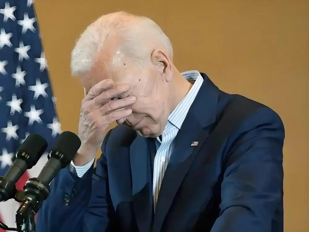 如何评价拜登？

拜登真的是那种一条命令可以考虑到方方面面能执行下去的总统。那种