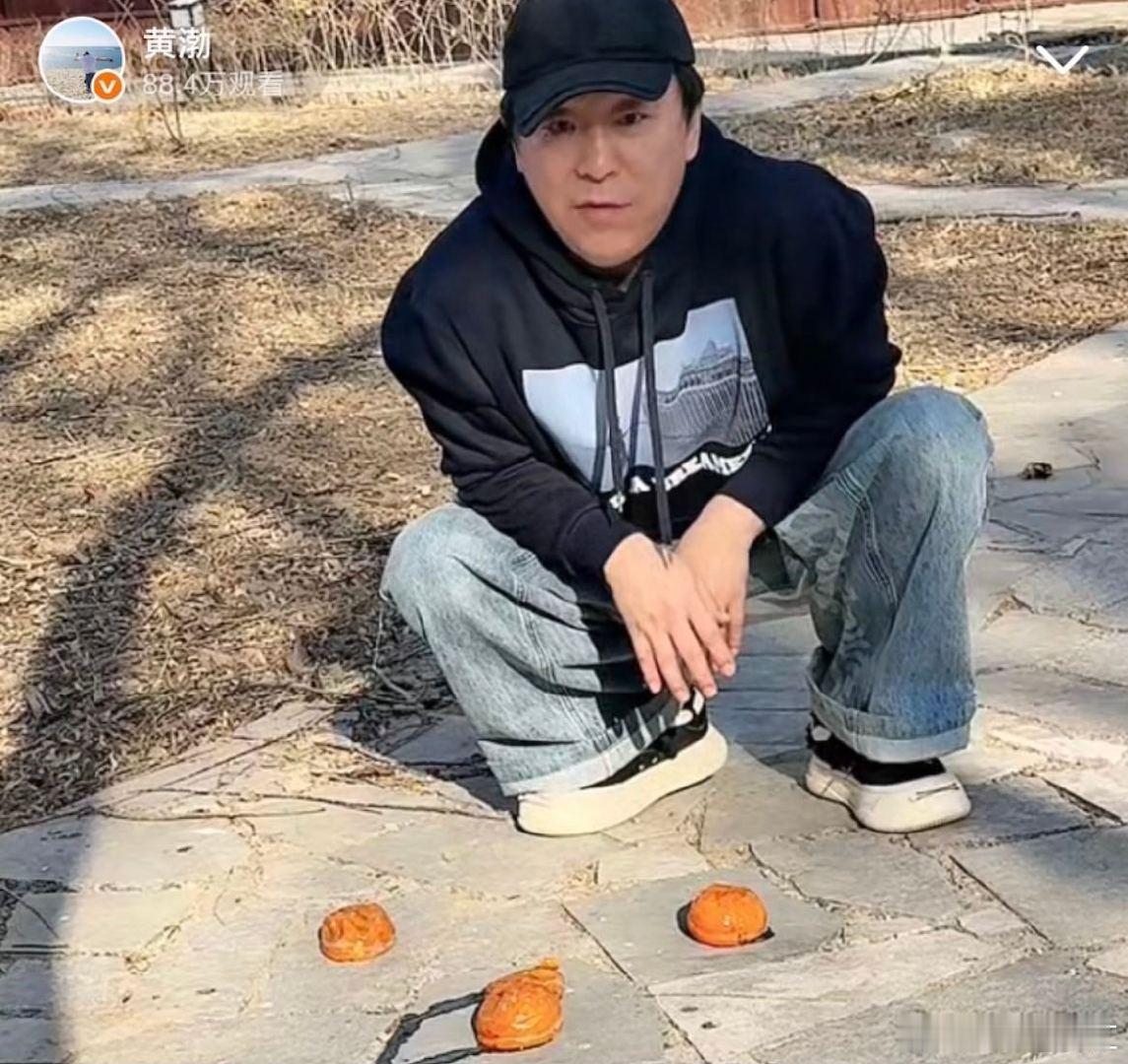 太闲了陪黄渤在这喂喜鹊 谁懂啊！陪黄渤直播间观鸟，我真的太闲了哈哈哈 