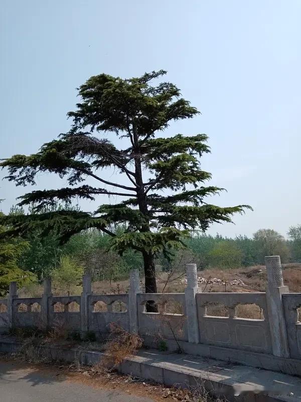 教养是一个人的内在品质，是为人的一种准则。
正如一句话所说，教养是在待人接物中所