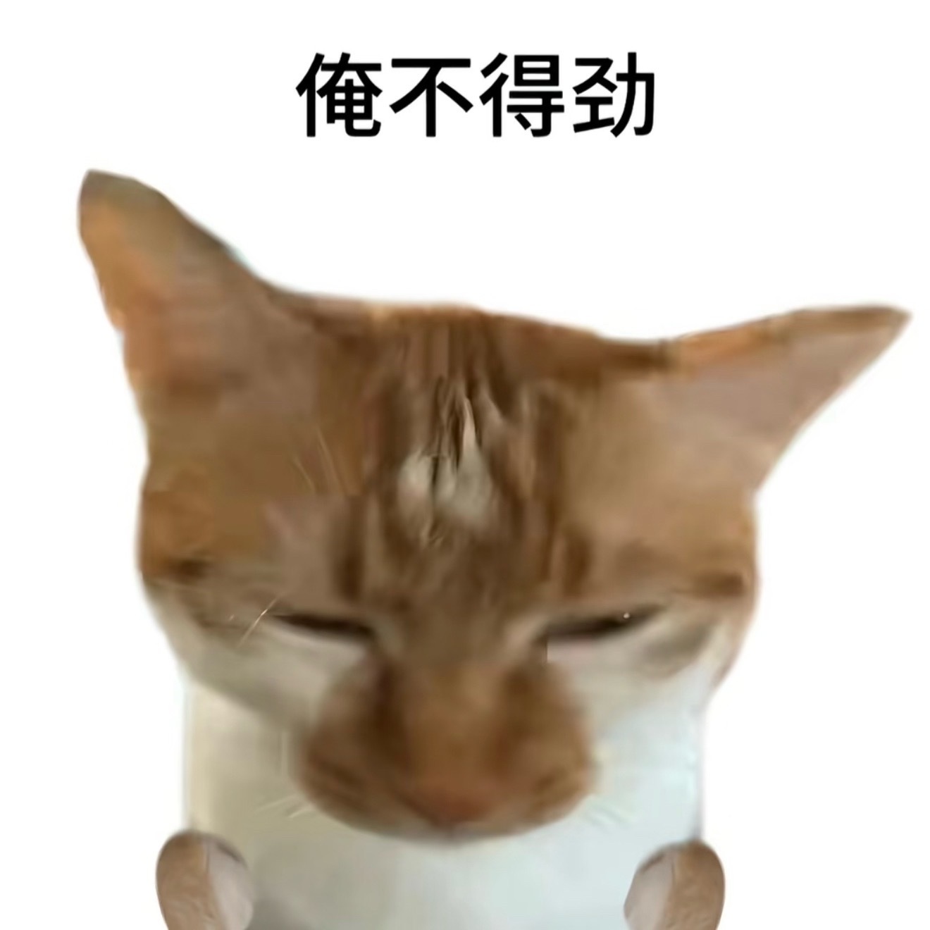 我感觉我发产出的时候你们都刷不到我我碎碎念的时候你们都能刷到我被制裁了…… 