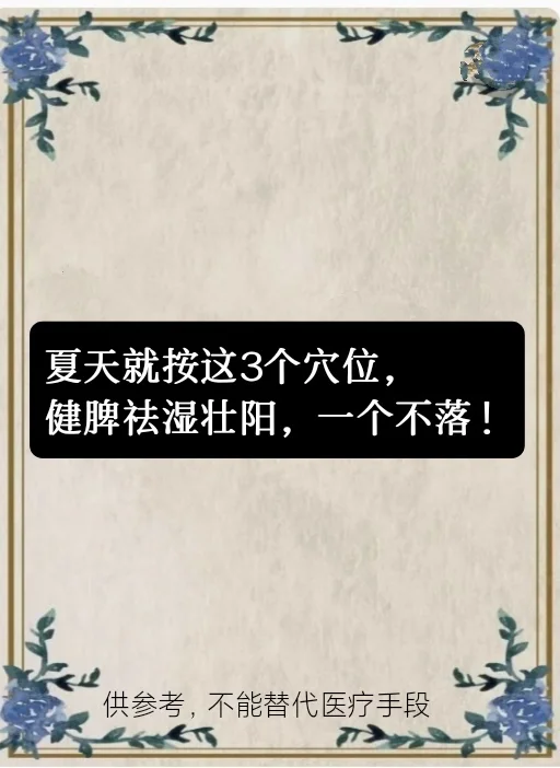这三个，健脾祛湿补阳补气