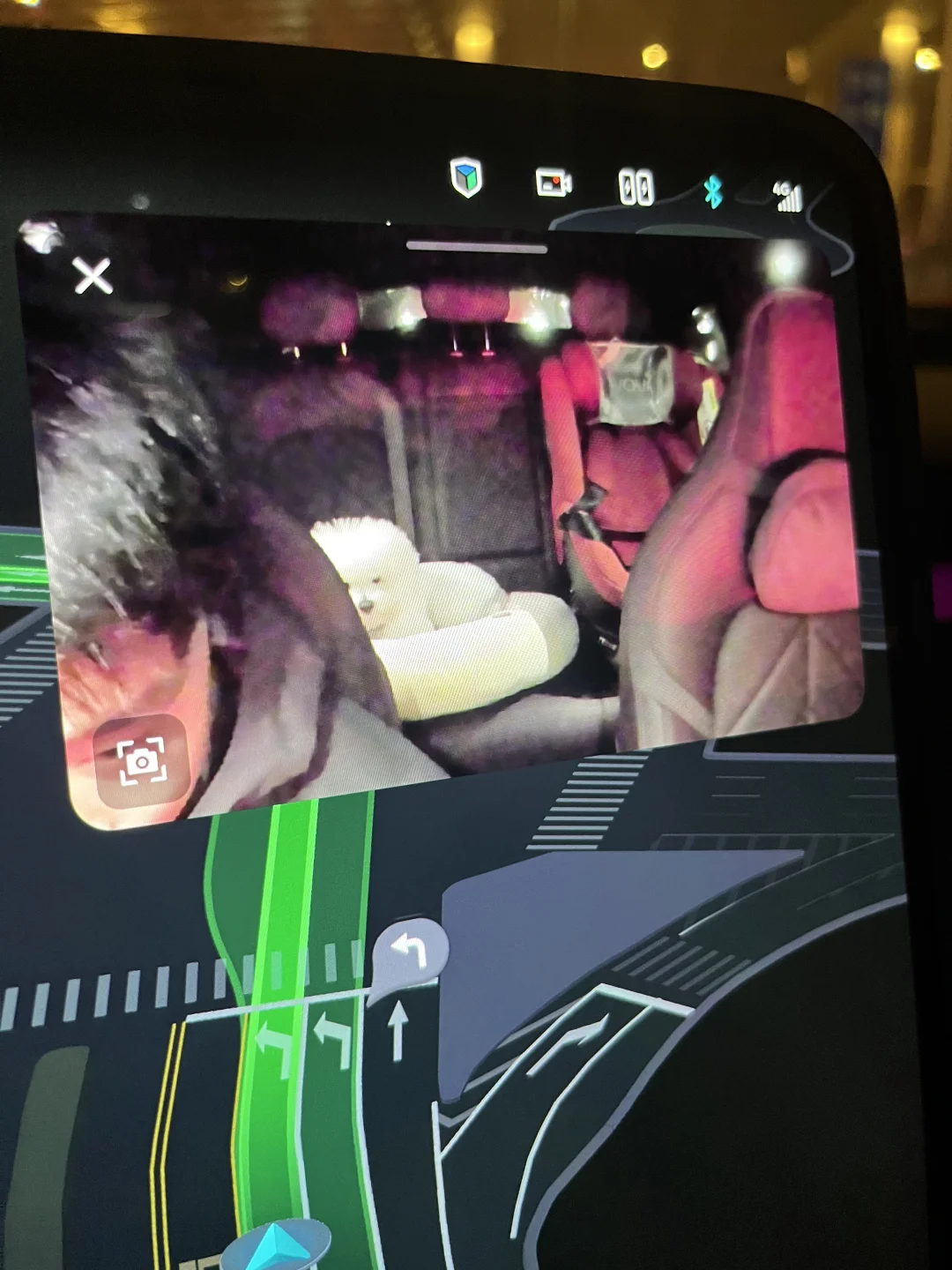 菜🐶：我怎么这么像我爹