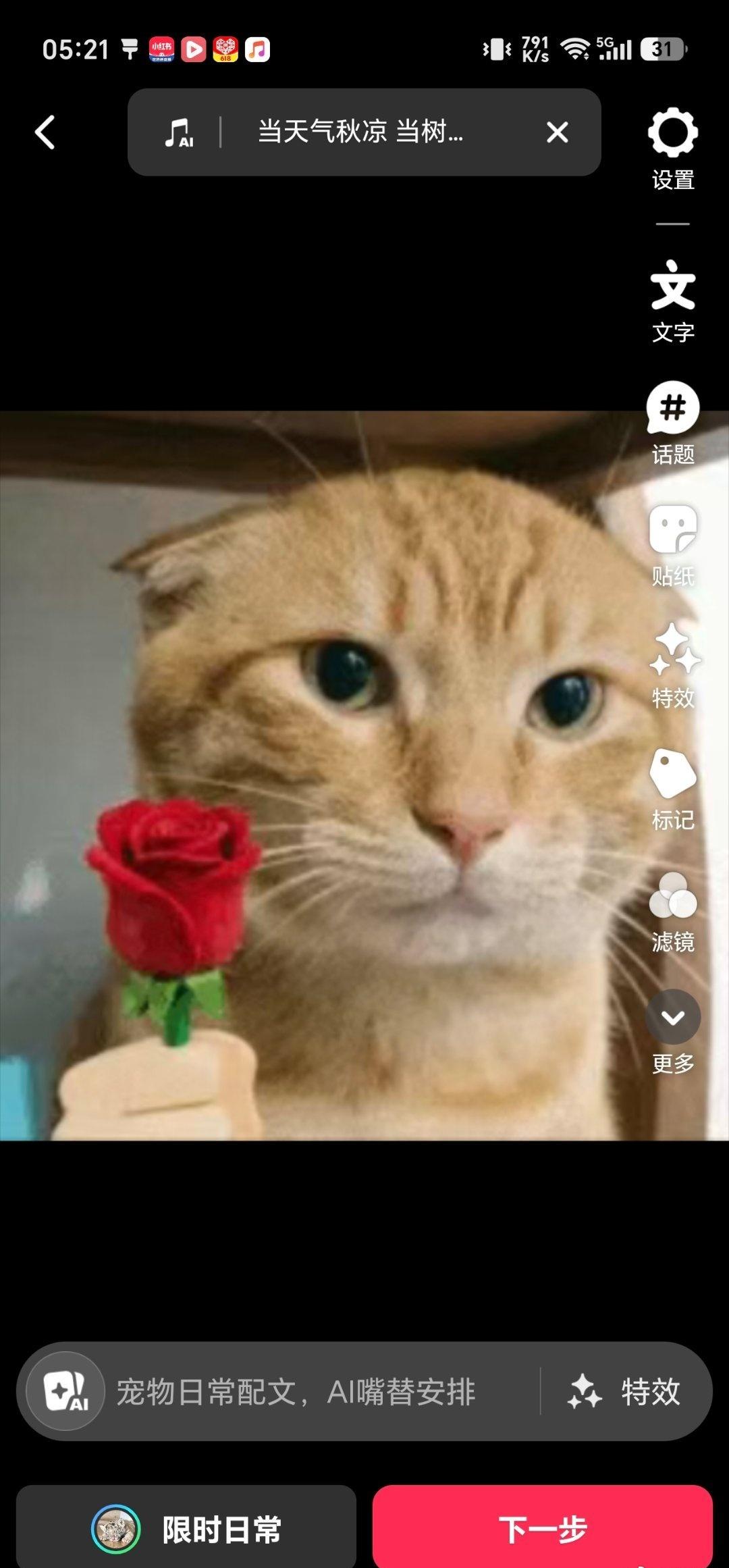 ​