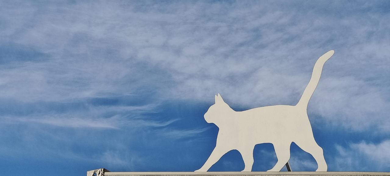 自由
淡然
清醒
笃定